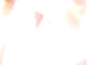DCP_0053