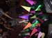 DCP_0074