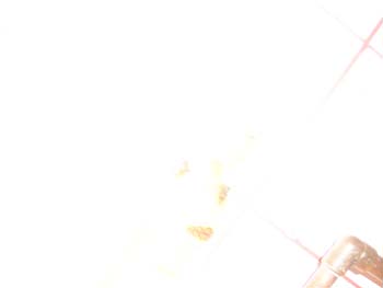 DCP_0035
