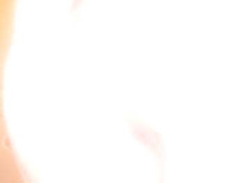 DCP_0033