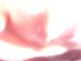 DCP_0155