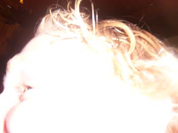 DCP_0049